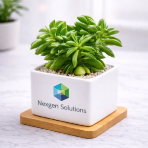 Prayer Pepper Succulent Desk Planter