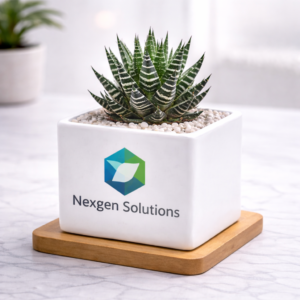 Zebra Succulent Desk Planter